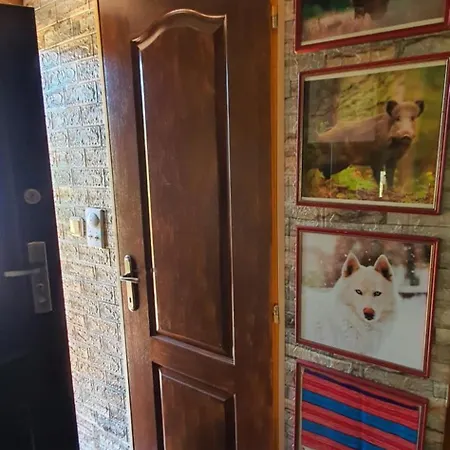 Zlatiborska Brvnara Mountain House Reba 兹拉蒂博尔
