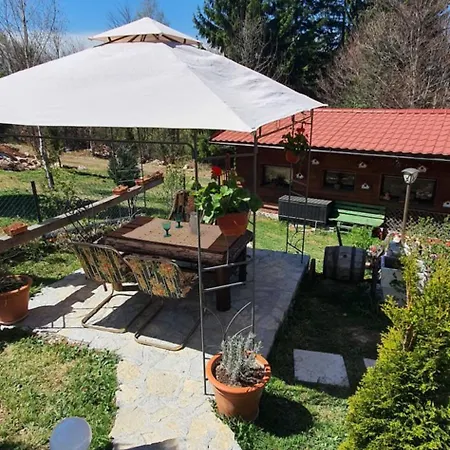 Chalet Zlatiborska Brvnara Mountain House Reba