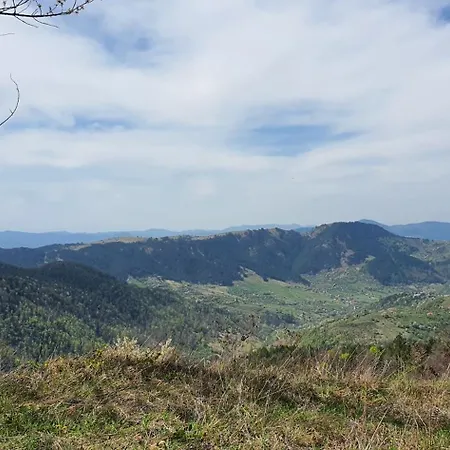 Zlatiborska Brvnara Mountain House Reba 木屋 *