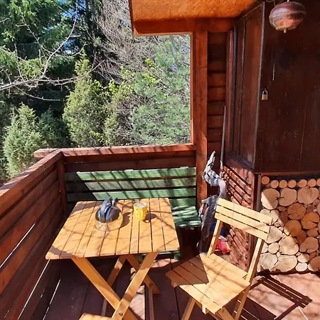Zlatiborska Brvnara Mountain House Reba 木屋 *
