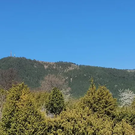 Zlatiborska Brvnara Mountain House Reba 兹拉蒂博尔
