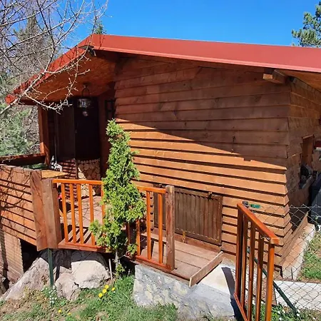 Zlatiborska Brvnara Mountain House Reba