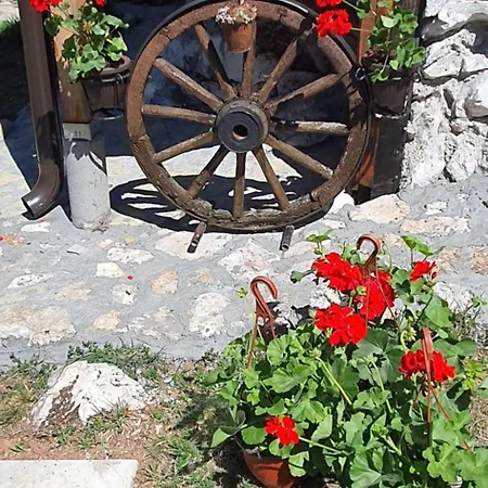 Zlatiborska Brvnara Mountain House Reba *